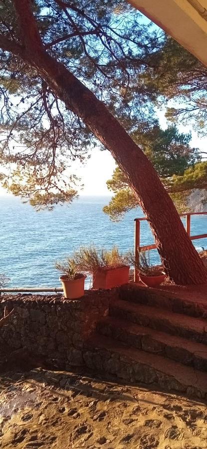 Cinqueterre National Park Sea View Apartamento Framura Exterior foto