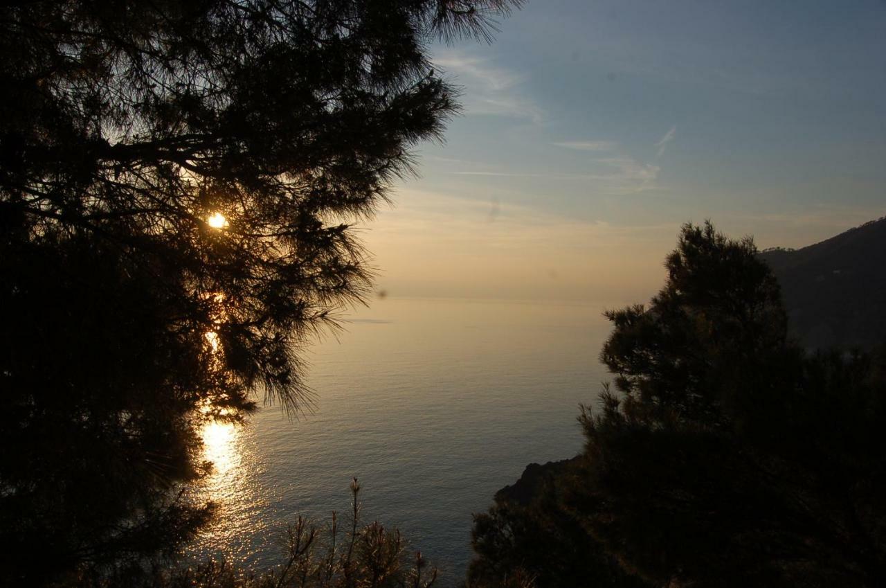 Cinqueterre National Park Sea View Apartamento Framura Exterior foto